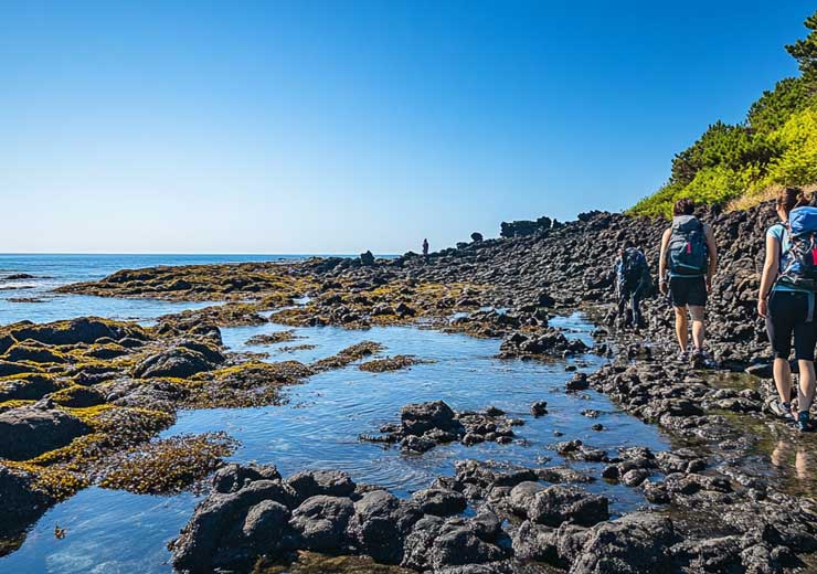 Jeju Tour Hiking